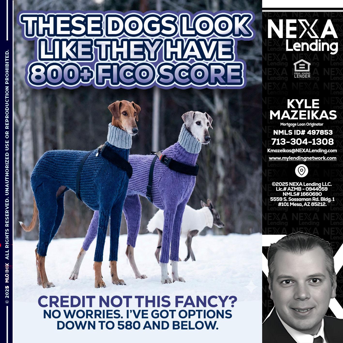 THESE DOGS LOOK - Kyle Mazeikas -Branch Manager / Mortgage Advisor